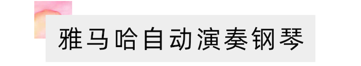 活动报道 | “科技助力，跨越时空”，小鹿纯子携手刘明康共享中日音乐盛宴